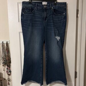 Lane Bryant Signature Fit Mid Rise Cropped Flare Distressed Jeans